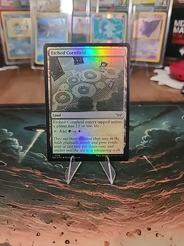 MTG Etched Cornfield (258/469) Duskmourn House of Horror LP FOIL - Picture 1 of 2