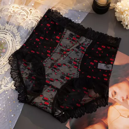 1/5 Packs Lot Womens High Waist Briefs Underwear Lace See Through Sheer Panties - Picture 14 of 23