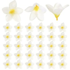 30-Pack Artificial Plumeria Flower Heads, 2.36" Fake Flowers,Yellow Heart White