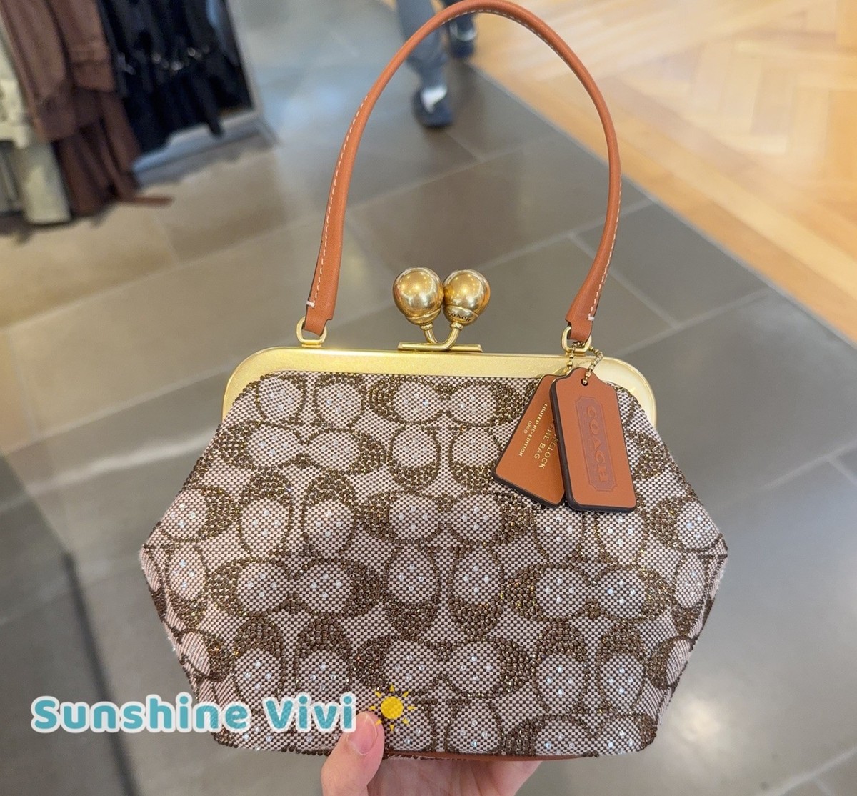 NWT Coach Kisslock Frame Bag 16 Crystal Signature Jacquard CCC53