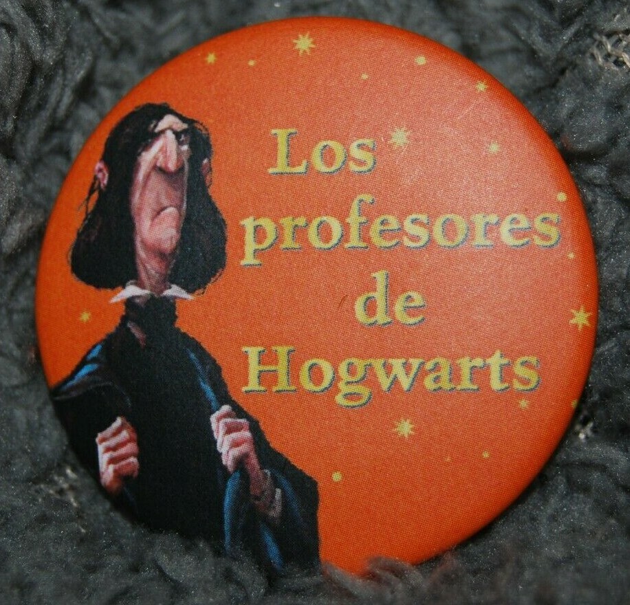 HARRY POTTER CHAPA LOS PROFESORES DE HOGWARTS