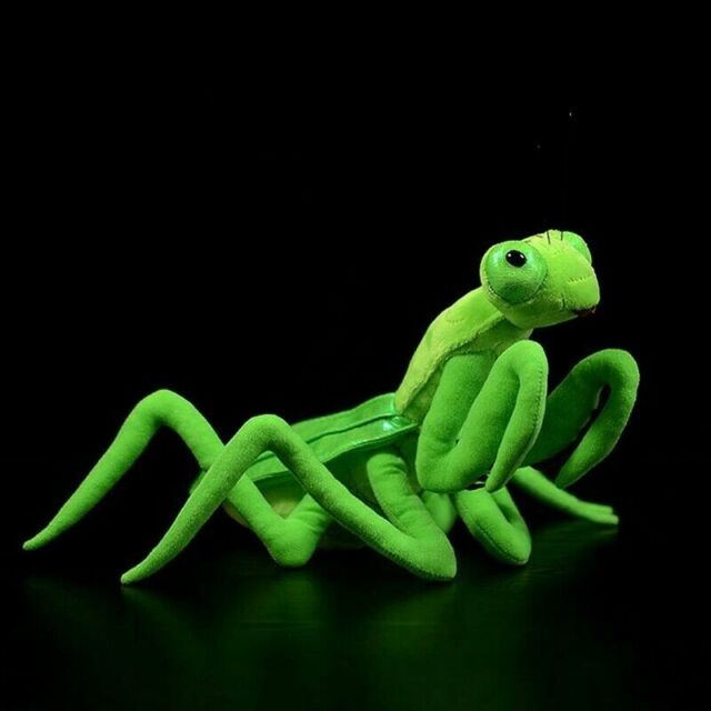 25cm Simulation Green Orchid Mantis Plush Soft Toy Insect Stuffed Toy 25cm Simulation Green Orchid Mantis Plush Soft Toy Insect Stuffed Toy