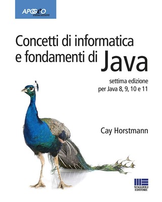 Cay S. Horstmann Concetti di informatica e fondamenti di Java (Taschenbuch)