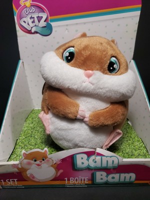 bam bam the hamster