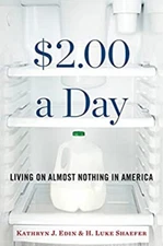 $2.00 a Day : Living on Almost Nothing in America Hardcover