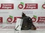 Foto 4 di 10
