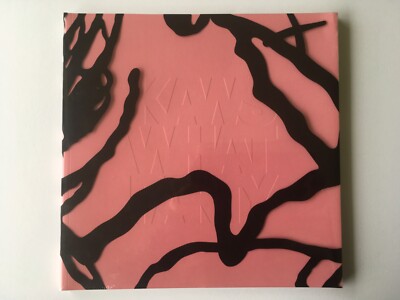 Kaws What Party At The Brooklyn Museum Pink Zine Catalog Sealed