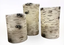 3 Flameless LED Pillar Candles Cottagecore Nature Tree Golden Birch Timer EUC