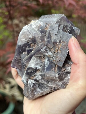 Greenlaws Mine UK Fluorit lila enthalten großer britischer Cluster 1065g