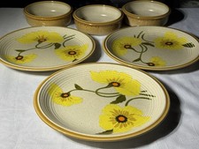 New Mikasa Nature’s Song Sunkissed CIU53 3 Dinner Plates + 3 Bowls Stoneware Set