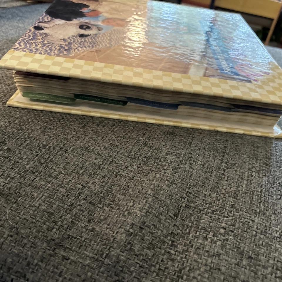 Carpeta de 3 anillas Vanna's Afghan And Crochet Favorites Foto 2 de 4