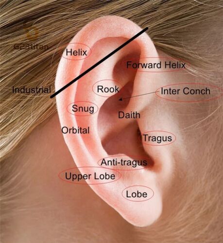 Cartilage Earrings Stud Piercing Gem Flat Disc Back Tragus Nose Helix Labret UK - Picture 5 of 14
