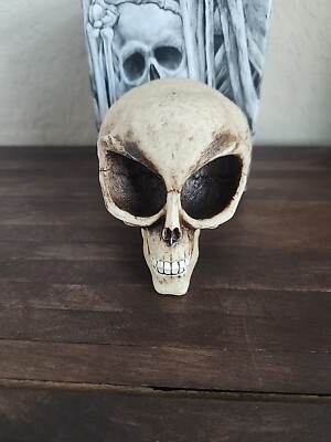Pacific gift ware Alien Skull