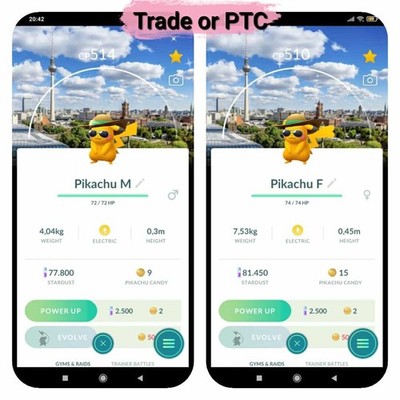 Pokemon Shiny Pikachu Summer Hat (Berlin Germany Background) - Tr.a.d.e or P.T.C