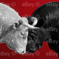 Digital Image Picture Photo Wallpaper Background Desktop AI Art Sample Product..