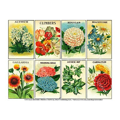 Seed Pack REPRODUCTIONS, Antique Flower Garden Journal Decor, 1 Sticker Sheet