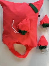 BAG in a BAG Nylon Tote Reusable Washable Grocery Bag Made in USA 16”x16”