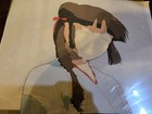 Rare Vampire Princess Miyu Animation Cel Original Production Painting Anime  — photo 2