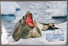 Mayfairstamps French Antarctic Territory 2015 Seal Maximum Card first day cover