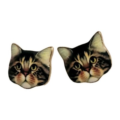 Francesca's Tabby Cat Face Enamel Stud Earrings 