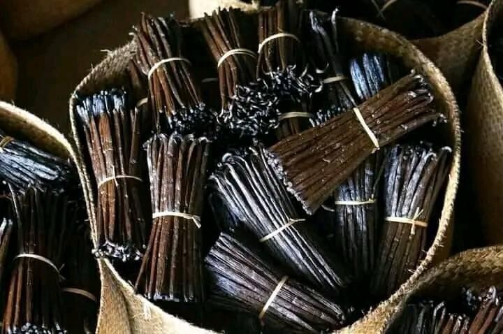 05 Madagascar Vanilla Beans Grade A - Fresh Gourmet Premium - Perfect for Baking