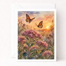 Monarch Butterfly Greeting Card – A2 Size – Blank Inside – Sunset Meadow Art