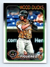 #PD-34 2024 Topps Pro Debut - Gleider Figuereo Wood Ducks