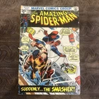 The Amazing Spider-Man #116 (Marvel Comics January 1973)