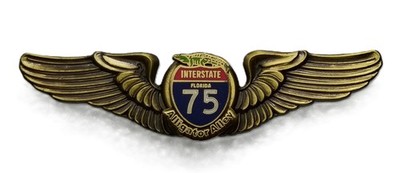 Alligator Alley Interstate 75 Florida Wings