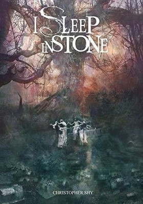 I Sleep in Stone Buch CreateSpace Independent Publishing Platform