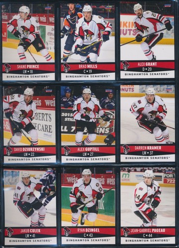 2006-07 to 2015-16 Choice Binghamton Senators AHL Team Set Single Cards - U PICK - Picture 155 of 194