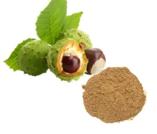 Horse Chestnut Extract - Longer Stamina & Performance