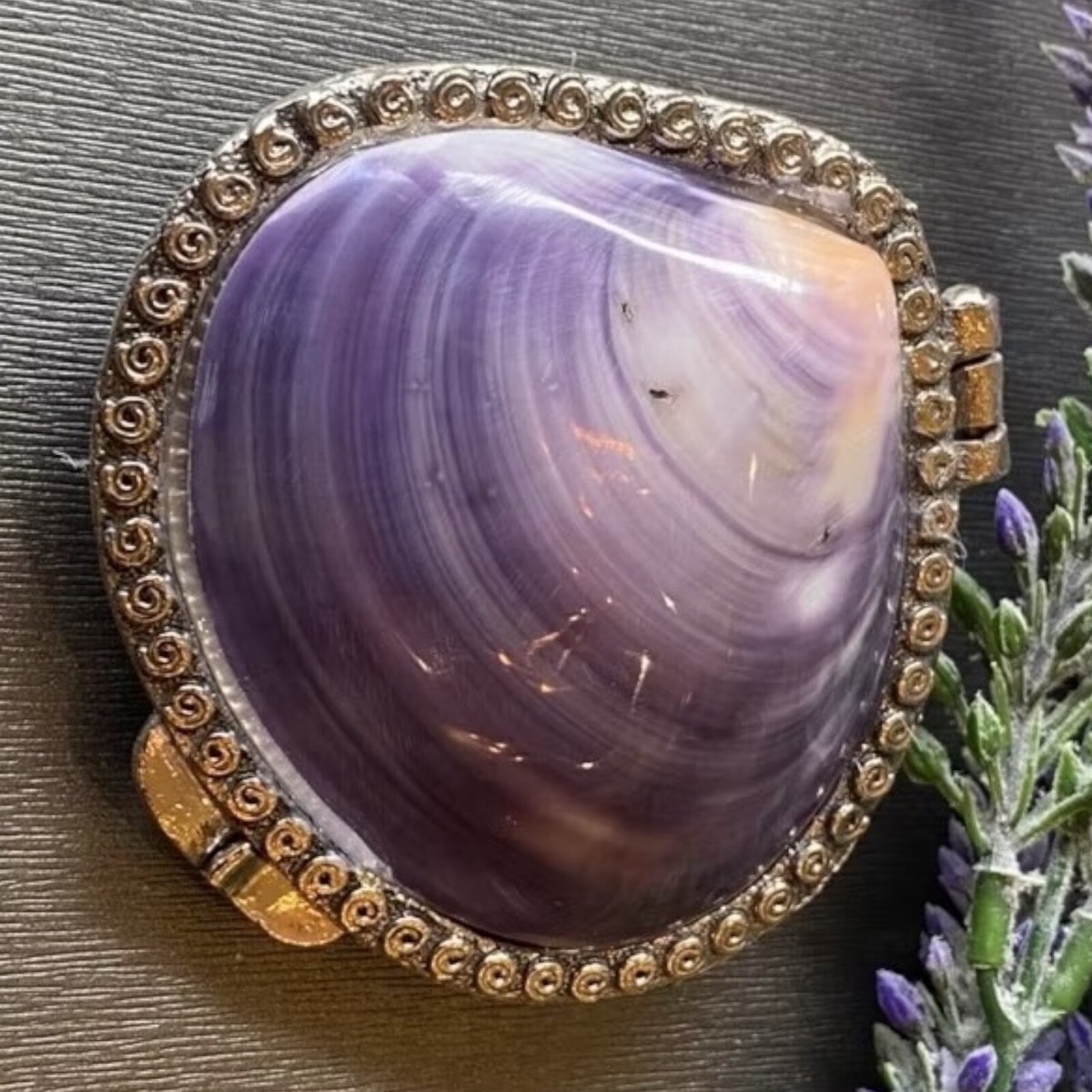 Real Purple Clam Shell Purse Clutch for Coin Jewelry Luxury
