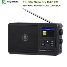 CS-806 Network DAB FM Support Bluetooth/TF Card/USB Flash Drive Playback