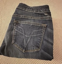 Vigoss Jeans Chelsea Skinny Size 26 Ankle Stretch Denim Distressed Low Rise Y2K