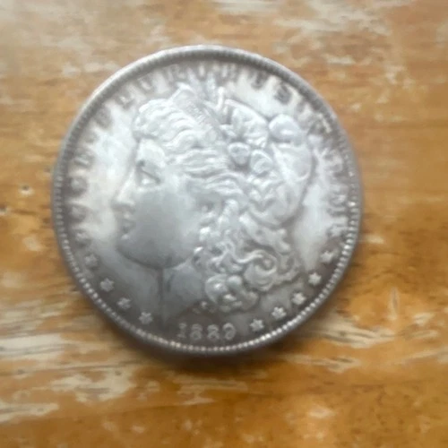 1889  Morgan Silver Dollar Coin $1 Circulated 0.9 Fineness US Silver