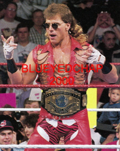 ハズブロ  WWF　THE WARLORD　SHAWN MICHAELS ハズブロ WWF THE WARLORD SHAWN MICHAELS Shawn Michaels (WWF