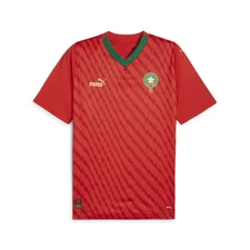 PUMA Frmf Wwc Home VNeck Replica Jersey Mens Red  77464501