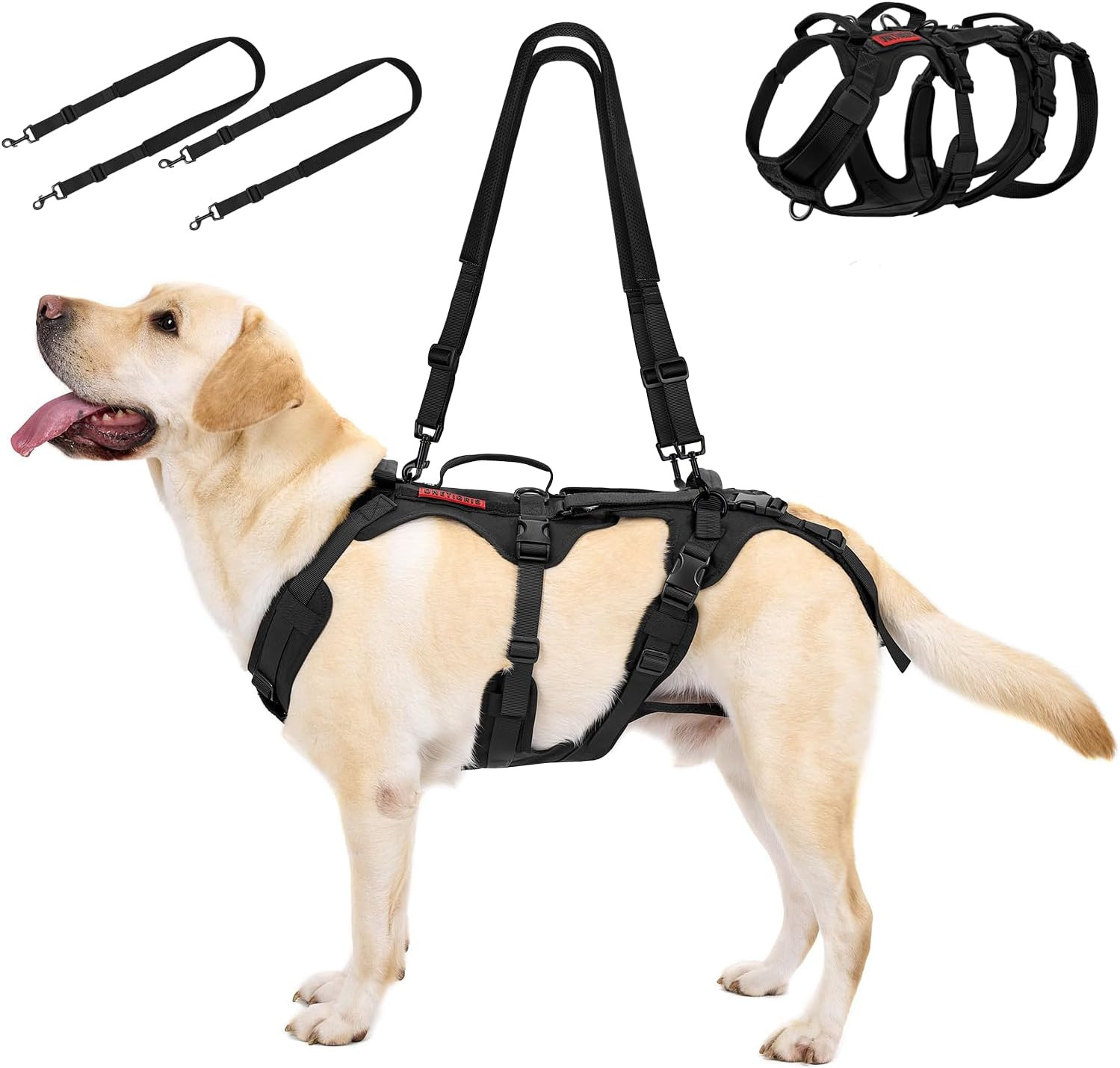 Pettorina per Cani Taglia Grande, Imbracatura Di Sollevamento/Trasporto per Cani