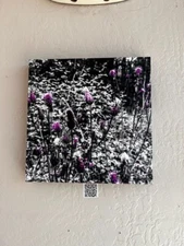 The Advent Collection Canvas Art (Discount in Link)