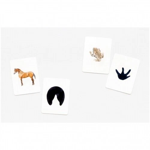 Animales En Tu Entorno - Alemán - Imagen 4 de 4