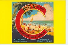 CLEARWATER,FLORIDA-BIG C BRAND-WG BLAIR-CRATE LABEL-1930-REPRO-4"X6"(DV-454*)