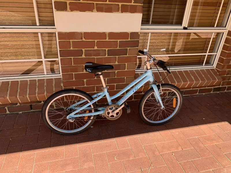 gumtree 20 inch bike