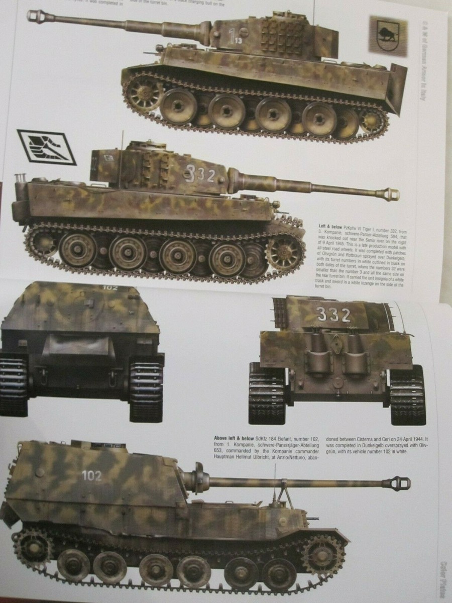 Camouflage & Markings of German Armor in Italy From Anzio Camouflage & Markings of German Armor in Italy From Anzio