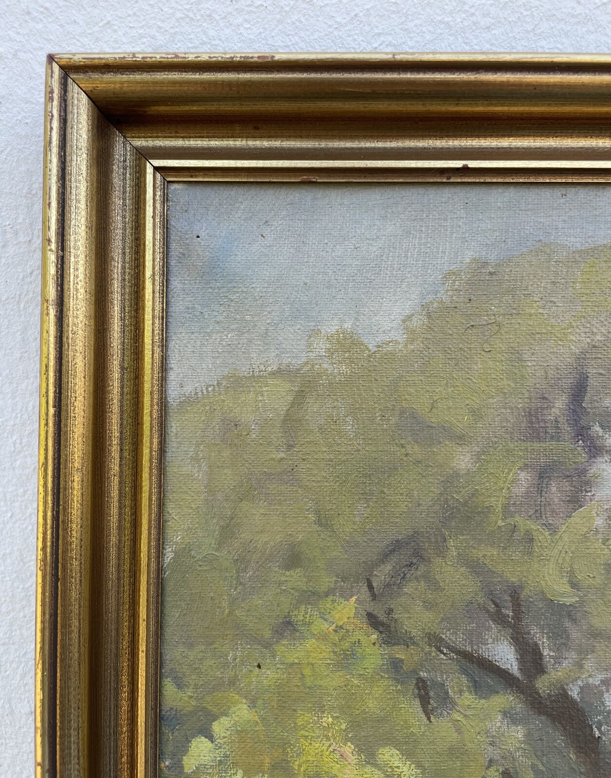 Picture 11 of 15