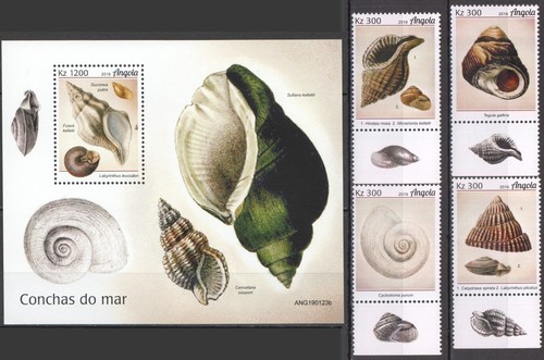 BW0664 2019 ANGOLA SEASHELLS SHELLS MARINE LIFE FAUNA #2096-2099+BL185 MNH