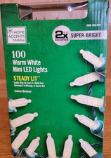 Home Accents 100 Warm White Mini LED Lights Steady Lit Super Bright New