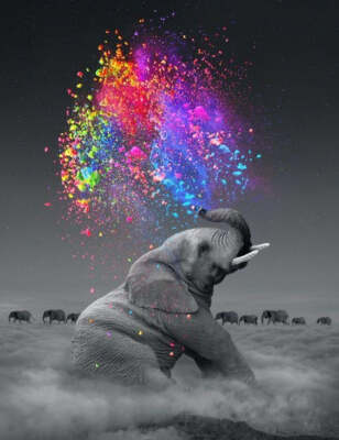 Elephant #4 diamond painting * Made to order  - Full Coverage Of Diamonds