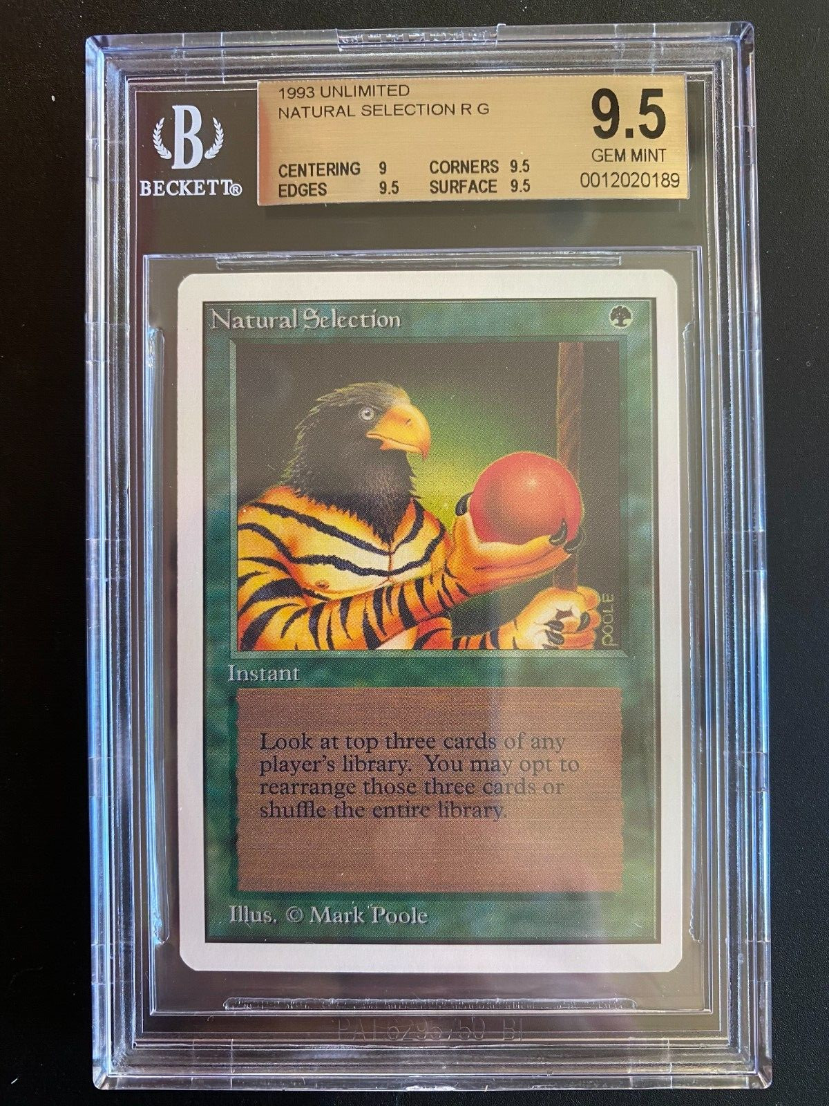 Magic The Gathering - Unlimited Natural Selection BGS 9.5 Gem Mint mtg