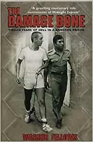 Damage Done, von W Fellows, neues Buch